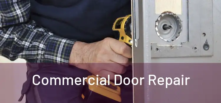  Commercial Door Repair 